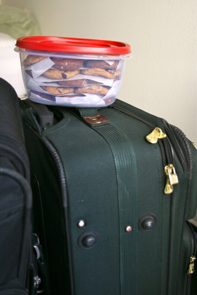 Travel Cookies